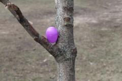1_thumbnail_IMG_9394
